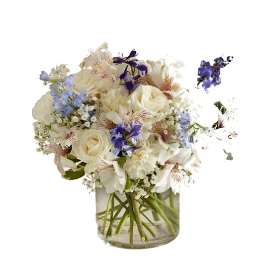 Delphinium Meadow